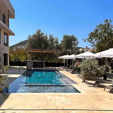 Lionyx Home&suites Rooftop Hotel